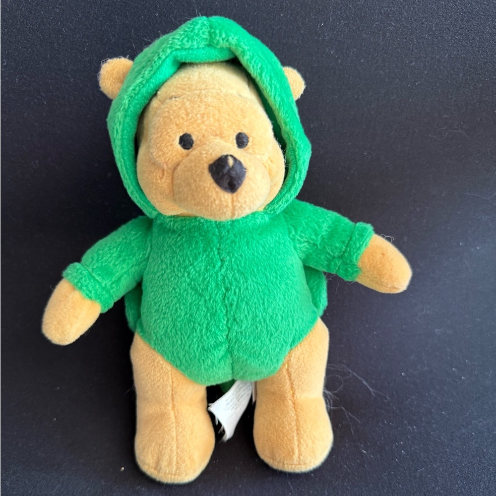 Vintage Disney Pooh Bear dressed as a turtle